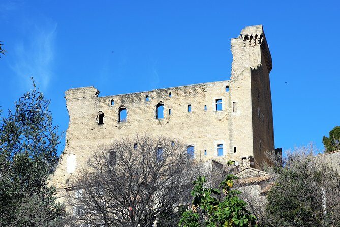 Avignon's history, local culture & the wines of Châteauneuf du Pape private tour - Exploring Avignon’s History and Culture