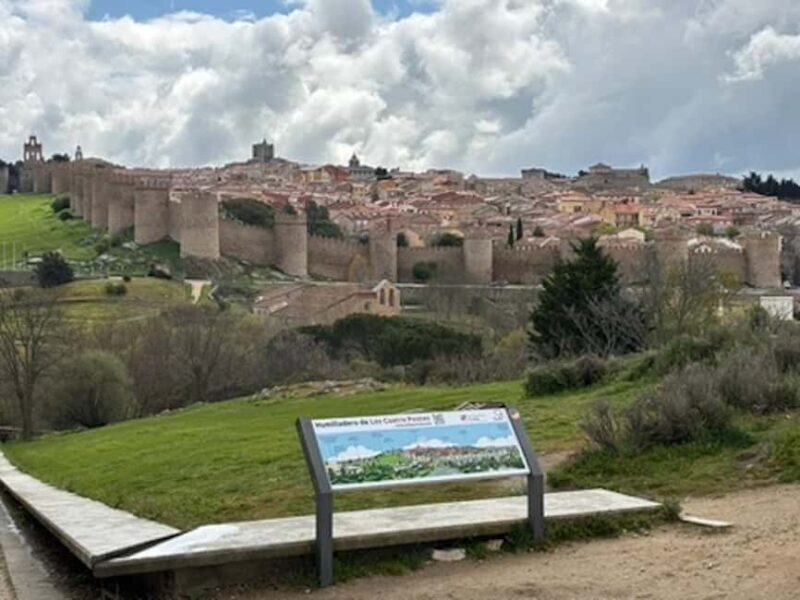 Avila and Segovia: Private Minivan Tour from Madrid - Exploring Castile and León: What the Tour Delivers