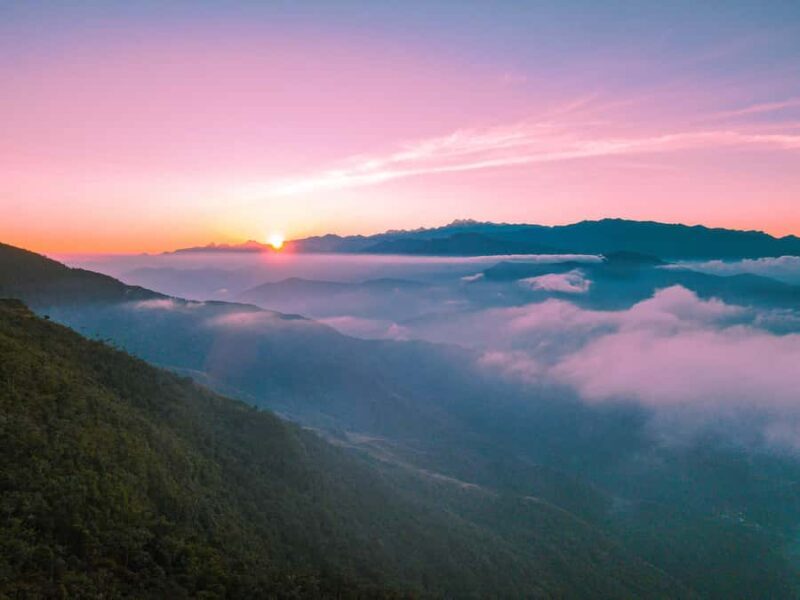 Avistamiento de aves en Minca Sierra Nevada de Santa Marta - Exploring the Bird Watching Tour in Minca Sierra Nevada de Santa Marta