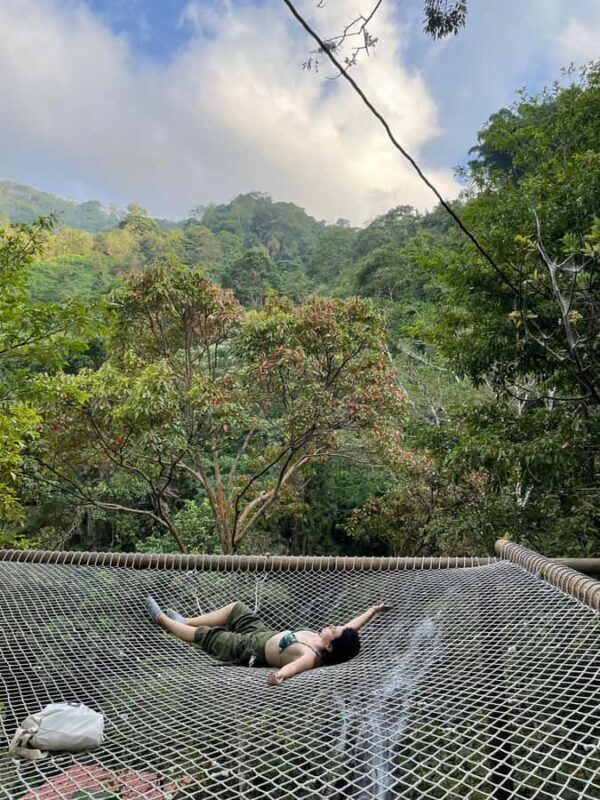 Avistamiento de aves en Minca Sierra Nevada de Santa Marta - Key Points