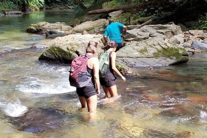 Avocat Waterfall and Beach Tour - Discover Trinidad’s Natural Wonders with the Avocat Waterfall and Beach Tour