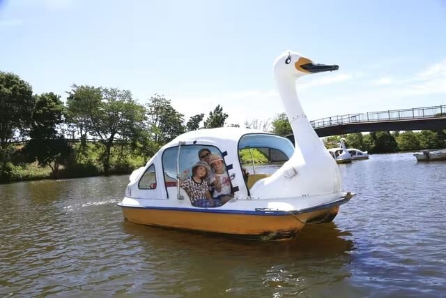 Awaji Farm Park England Hill Admission Ticket in Hyogo - Awaji food is worth leaving room for