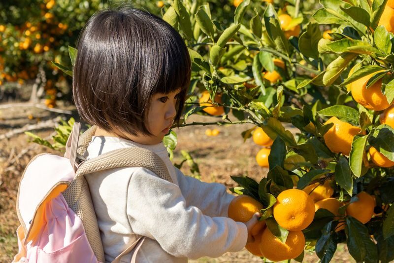 Awaji Island Flower Corridor & Ladybug Path & Happy Pancake & All-You-Can-Eat Fruit Day Trip (Departing from Osaka) - Weather, pace and the practical trade-offs