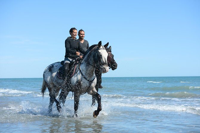 Awaken to Paros: A Scenic Morning Horseback Ride - What You’ll Need to Bring and Wear