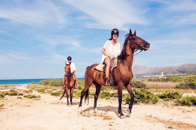 Awaken to Paros: A Scenic Morning Horseback Ride - Review Snippets: Authentic Guest Perspectives