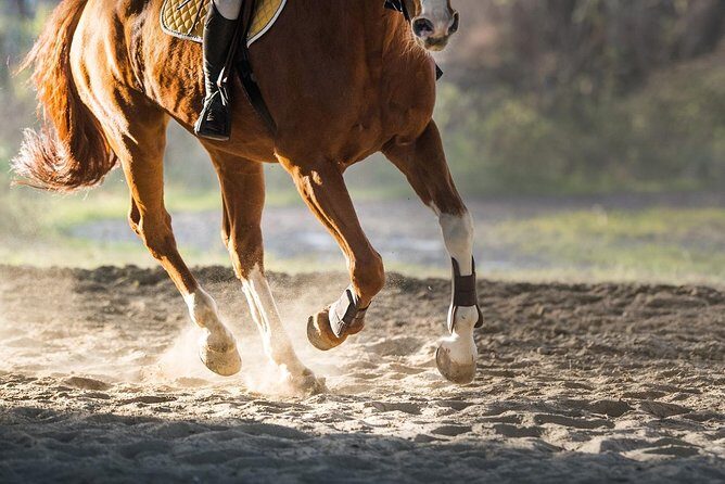 Awaken to Paros: A Scenic Morning Horseback Ride - Why This Tour Is Worth Considering