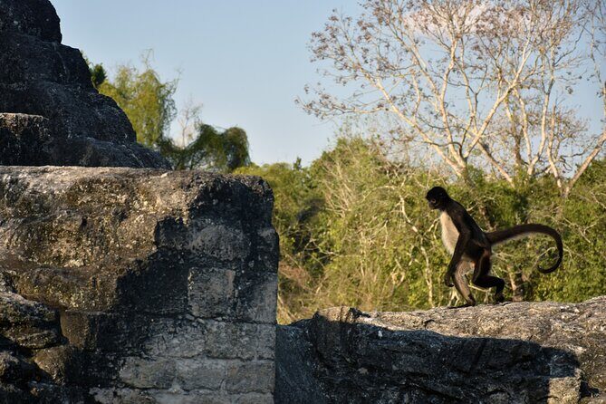 Awaken to Tikals' Sunrise Exclusive Tour - Final Thoughts