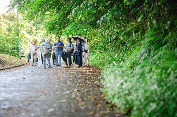 Awamori Pairing Lunch in Yanbaru Local Flavors and Traditions - Discovering Okinawa’s Unique Spirit and Flavors