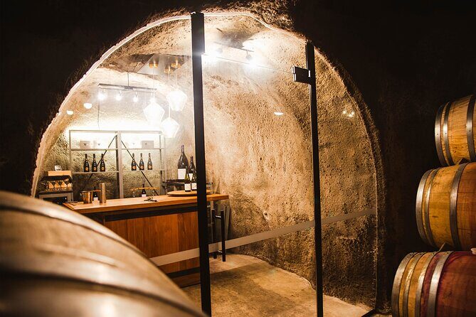 Award Winning Premium Wine Tour Queenstown Tasting at 4 Wineries - Exploring Queenstown’s Wine Scene in Style