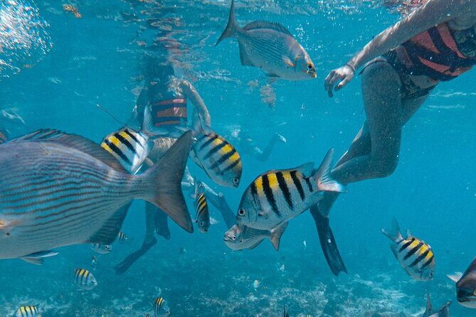 Awesome Catamaran to Isla Mujeres, Snorkeling & Unlimited Drinks! - Why This Tour Offers Real Value