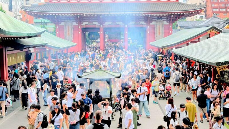 Awesome Private Tour: Tsukiji, Asakusa, Shinjuku, Shibuya - Who Will Love This Tour?