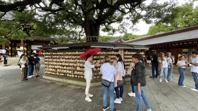 Awesome Private Tour: Tsukiji, Asakusa, Shinjuku, Shibuya - FAQ