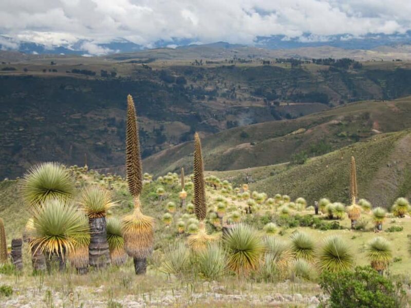 Ayacucho | Relax at Collpa Thermal Pools | Aguas termales - Final Thoughts