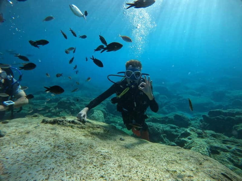 Ayia Napa: Beginners Discover Scuba Diving Experience - Final thoughts: Is it worth your time?