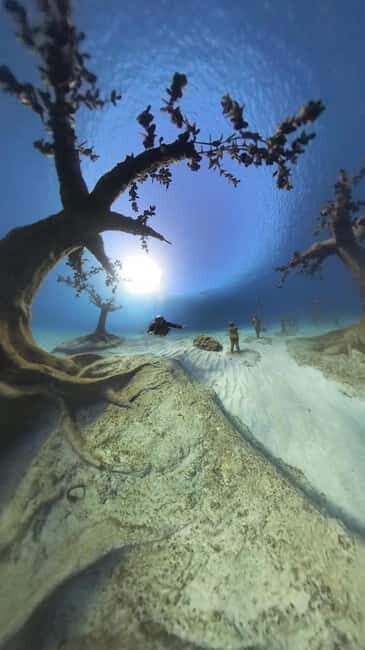 Ayia Napa: Musan Underwater Museum Scuba Dive with Transfer - Frequently Asked Questions