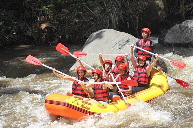 Ayung River Half-Day White Water Rafting Bali in Ubud - Authentic Feedback from Travelers