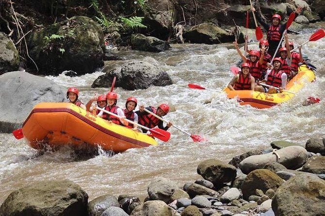 Ayung River Half-Day White Water Rafting Bali in Ubud - The Sum Up: A Reliable, Exciting Bali Adventure