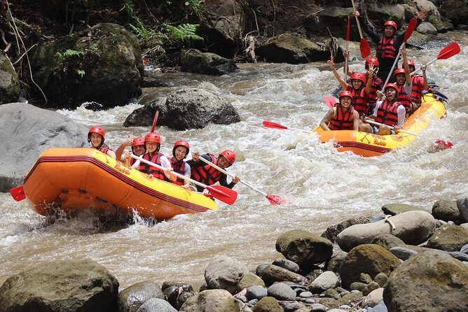 Ayung River - White Water Rafting Bali - What to Expect: An Authentic Bali Adventure