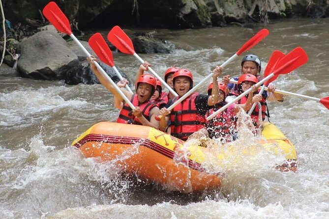 Ayung River - White Water Rafting Bali - Detailed Itinerary Breakdown