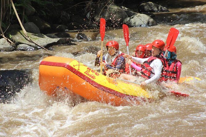 Ayung River - White Water Rafting Bali - The Sum Up: Is This the Right Tour for You?