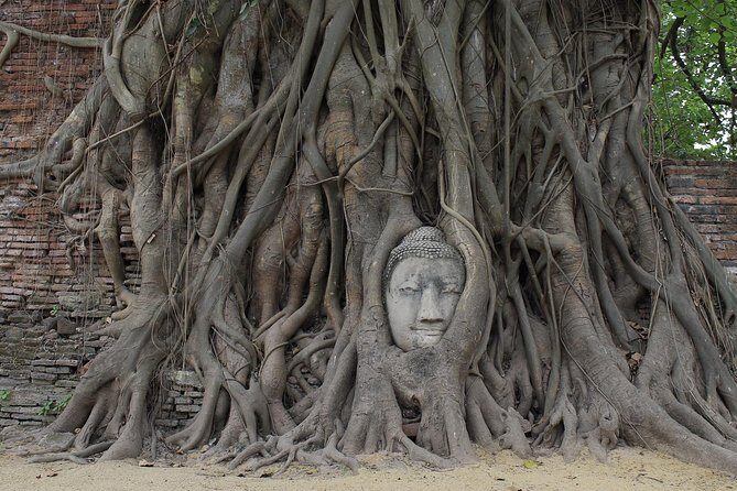 Ayutthaya Day Tour By Coach and Cruise - A Deep Dive into the Tour Experience