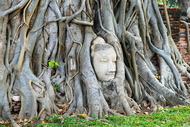 Ayutthaya Summer Palace and Temples Day Tour from Bangkok - Exploring the Itinerary: What You Can Expect