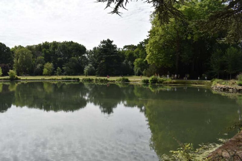 Azay-le-Rideau Castle: Private Guided Tour with Ticket - The Beauty of the Architecture and Decor