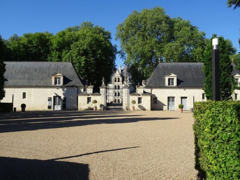 Azay-le-Rideau Castle: Private Guided Tour with Ticket - Authenticity and Convenience