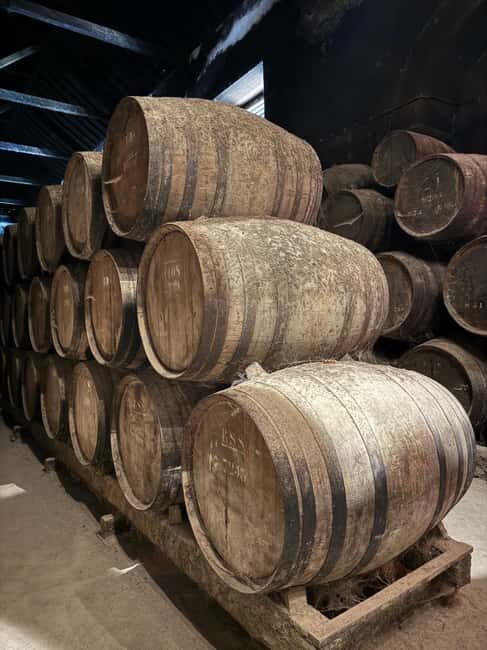 Azeitão: Great visit to wineries, farms, palace, and wine tasting. - A Detailed Look at the Azeitão Experience