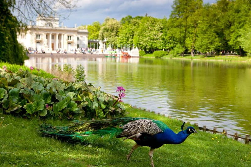 azienki Park and Palace Warsaw Private Tour with Tickets - Exploring Warsaws Łazienki Park & Palace: A Detailed Review