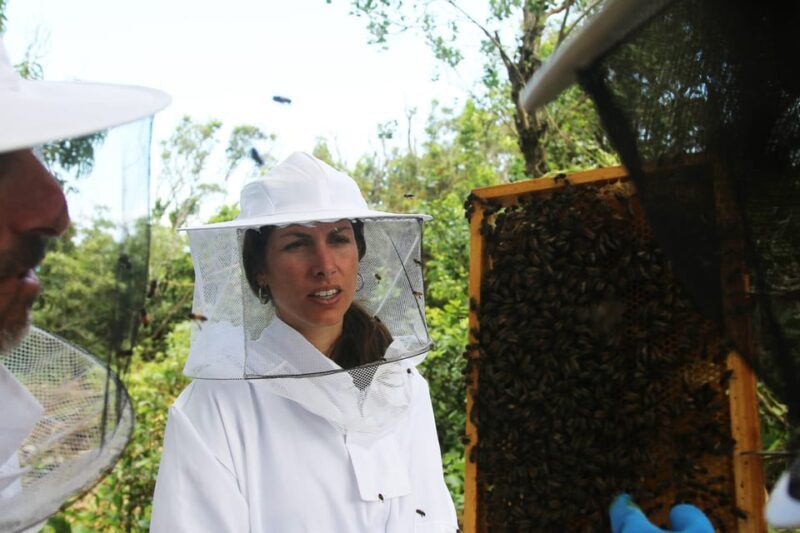 Azores Beekeeping Tour and Honey Taste - The Practical Side: What You Need to Know