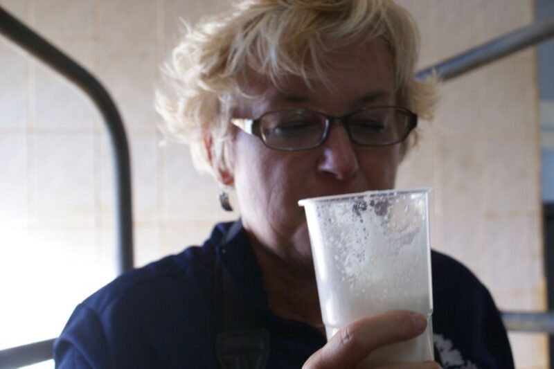 Azores: Day at the Farm with Traditional Lunch - Why This Tour is a Valuable Experience