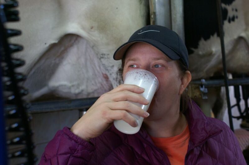 Azores: Day at the Farm with Traditional Lunch - Who Should Consider This Tour?