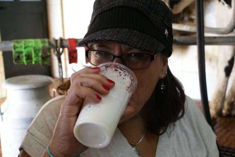 Azores: Day at the Farm with Traditional Lunch - Frequently Asked Questions