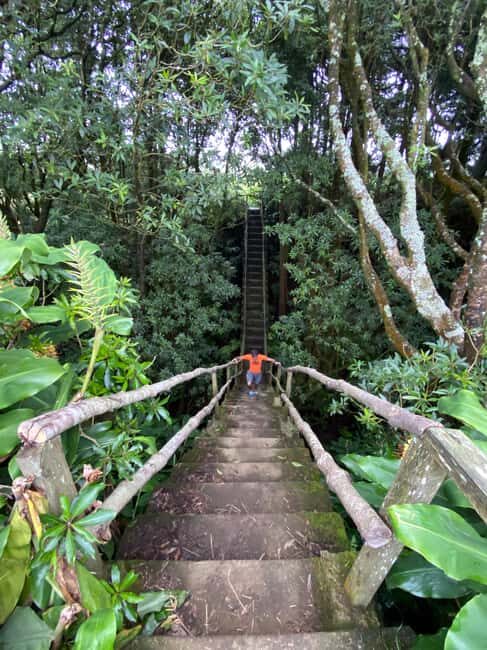 Azores: Janela do Inferno, Caldeira Velha Guided Hiking Tour - A detailed look at the Janela do Inferno and Caldeira Velha tour