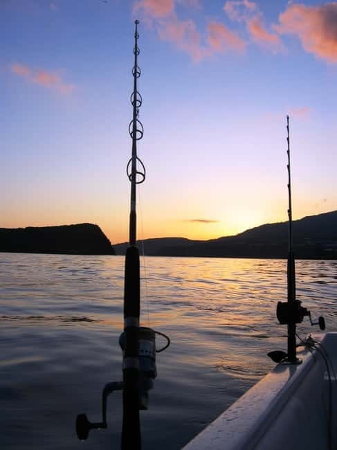Azores: Ponta Delgada Big Game Fishing Private Tour - The Itinerary in Detail