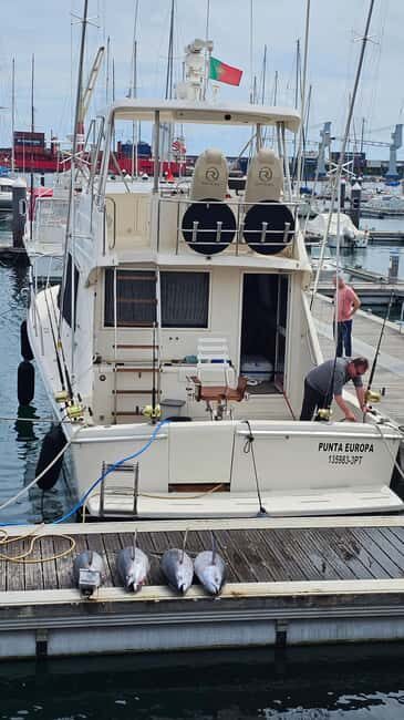 Azores: Ponta Delgada Big Game Fishing Private Tour - The Value of This Experience