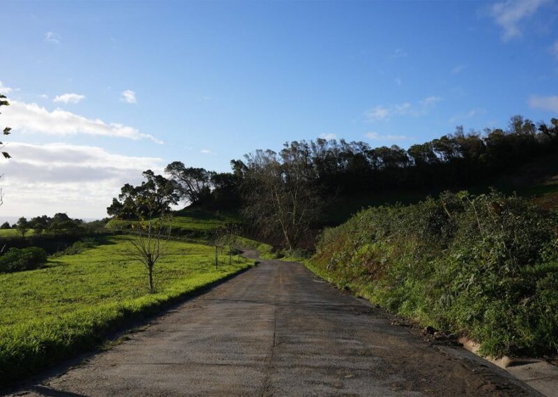 Azores: São Miguel and Lagoa do Fogo Hiking Trip - Key Points