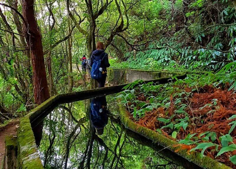 Azores: São Miguel and Lagoa do Fogo Hiking Trip - Authenticity and Local Flavor