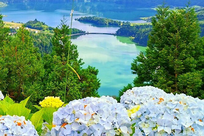 Azores: Shore Excursion Sete Cidades - Blue & Green Twin Crater Lakes - The Transport: Comfort and Convenience
