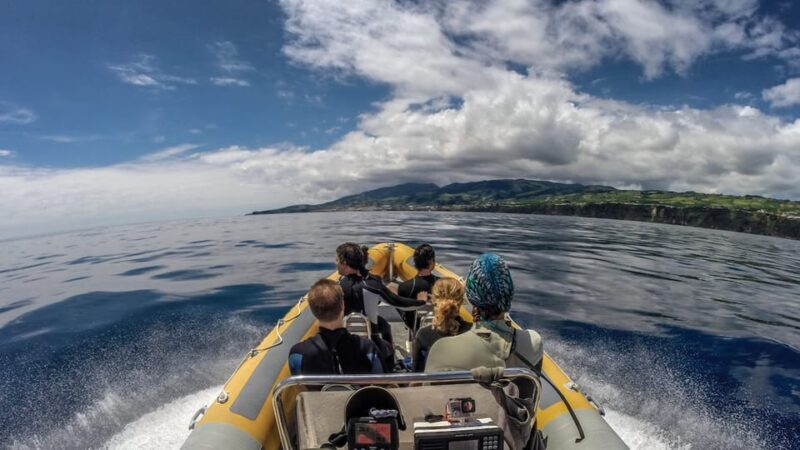 Azores: Swim with Dolphins Atlantic Experience - Who Would Love This Tour?