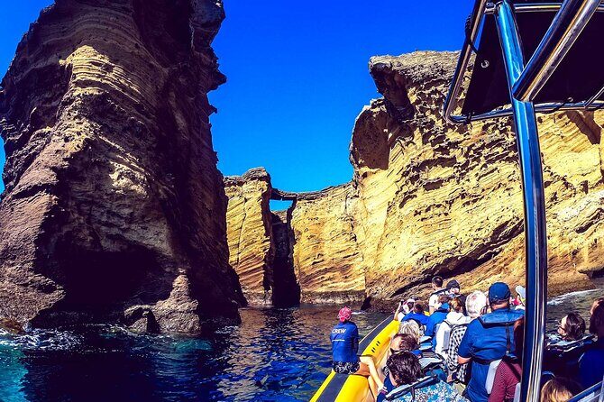 Azores Whale Watching & Islet Boat Tour - Final Thoughts