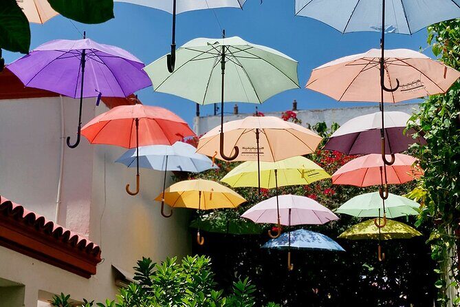 BA Flavors Food Tour in San Telmo - Final Thoughts