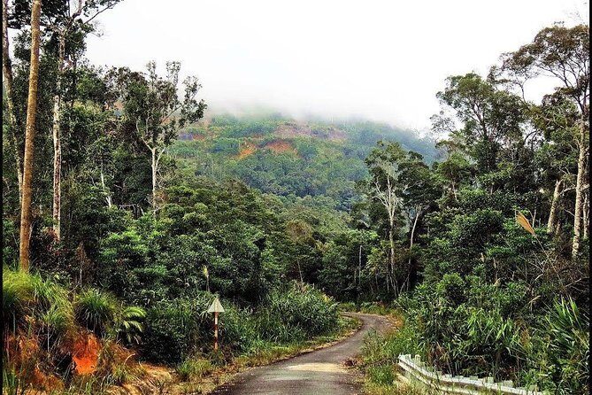Ba Ho waterfalls ( Trekking + Swimming + Jumping +Amazing Nature) - Key Points