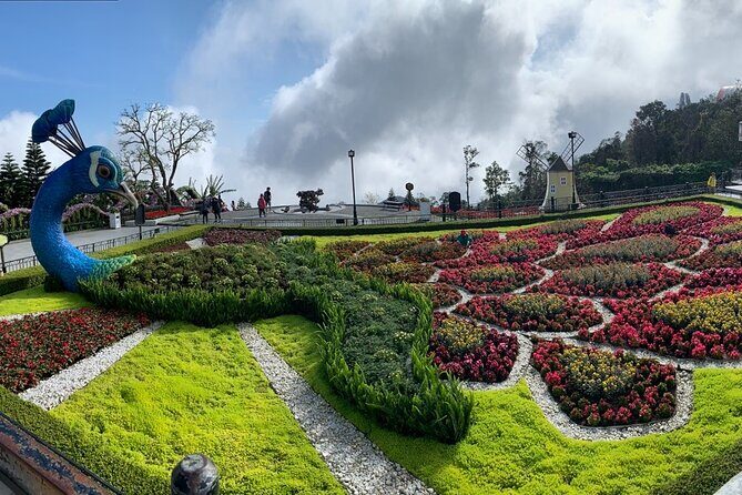 Ba Na Hills & Golden Bridge Tour from Da Nang - Real Traveler Insights and Tips