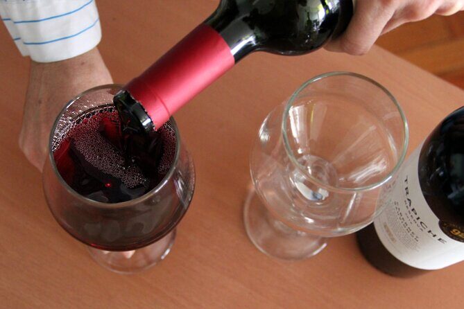 BA: Premium Argentinian Wines and Malbec Tasting in Palermo - Who Would Enjoy This Tour?