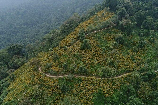 Ba Vi National Park Private Tour: Sightseeings & Jungle Hikking - A Detailed Look at the Ba Vi National Park Private Tour