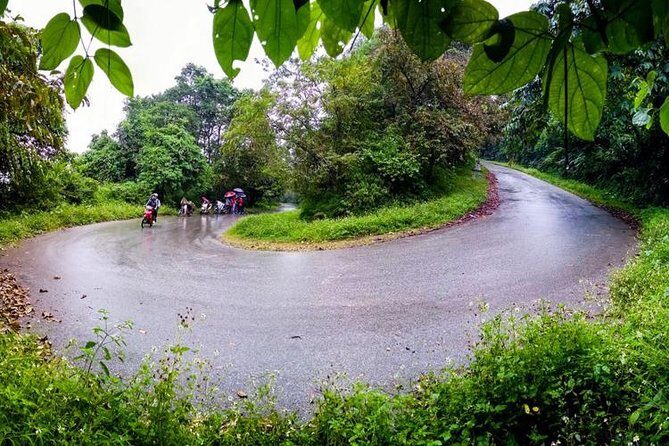 Ba Vi National Park Private Tour: Sightseeings & Jungle Hikking - Who Will Love This Tour?