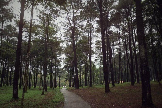 Ba Vi National Park Private Tour: Sightseeings & Jungle Hikking - Final Thoughts