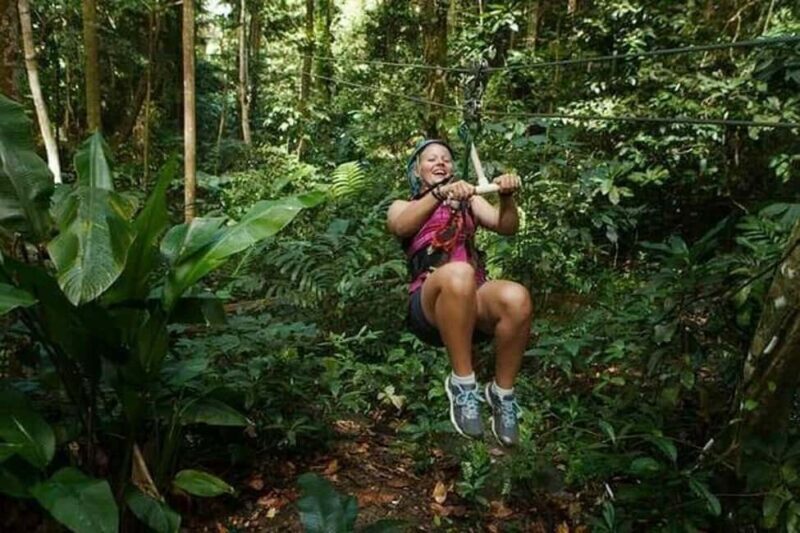 Babonneau/Castries: Rainforest Zip Line, Tram, and Hike Tour - An In-Depth Look at the Rainforest Tour